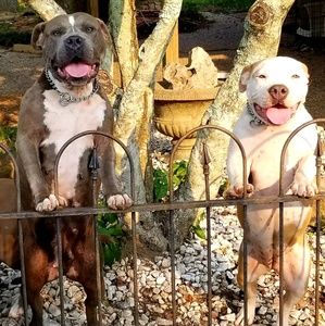 Meet your Posher, Craig